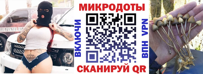 цена наркотик  Коряжма  Псилоцибиновые грибы прущие грибы 