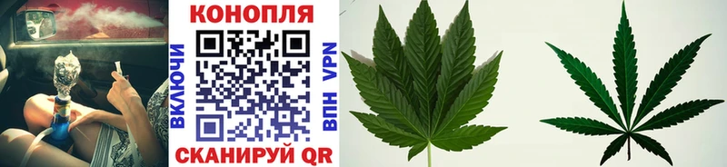 как найти наркотики  Коряжма  МАРИХУАНА THC 21% 